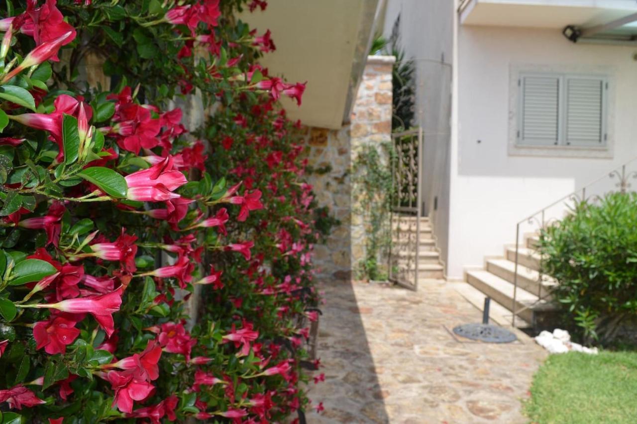 Valadas Guest House Canedo  外观 照片